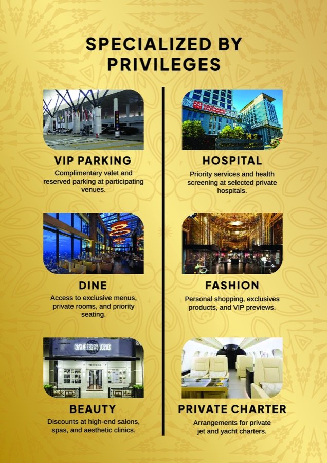 VIP Gold brochure page 4